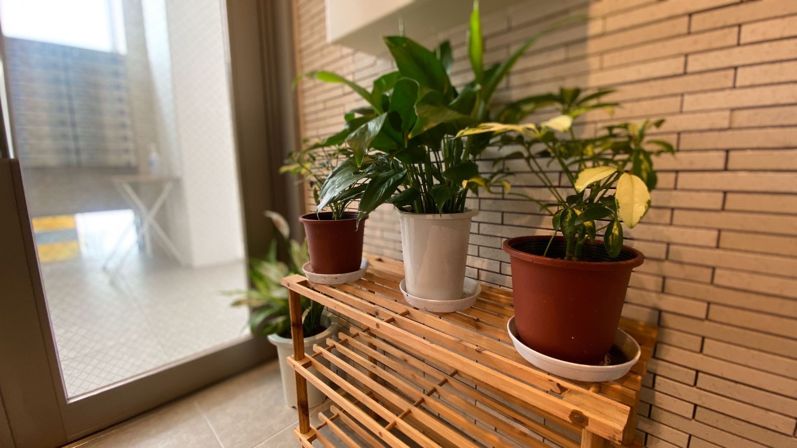 레지던스 하나사키