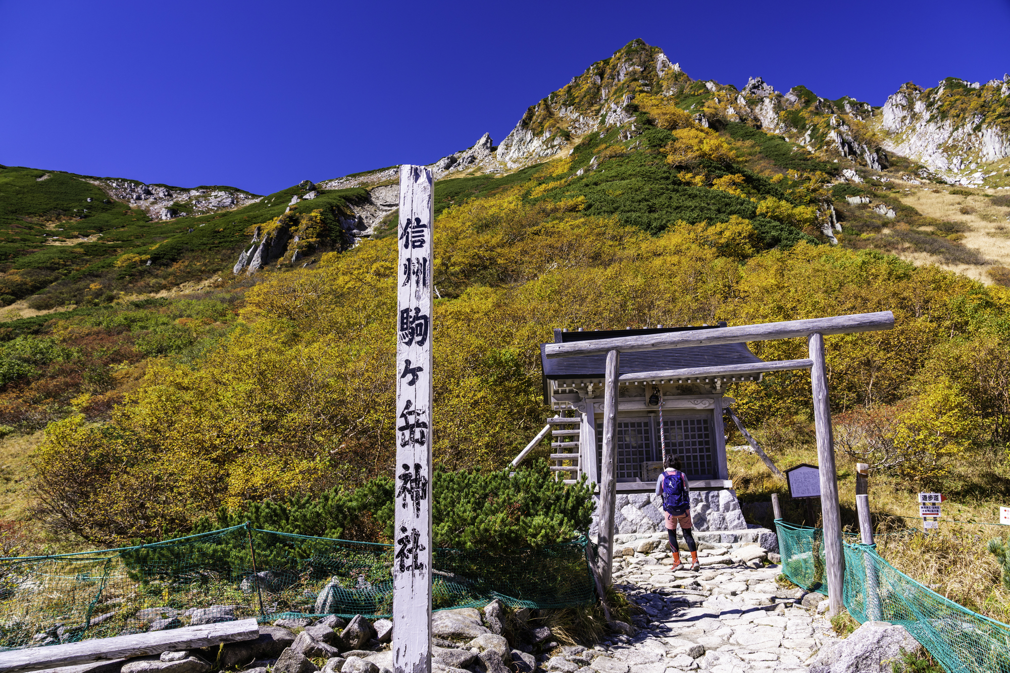 Tabist 南信州宿阵屋日式旅馆