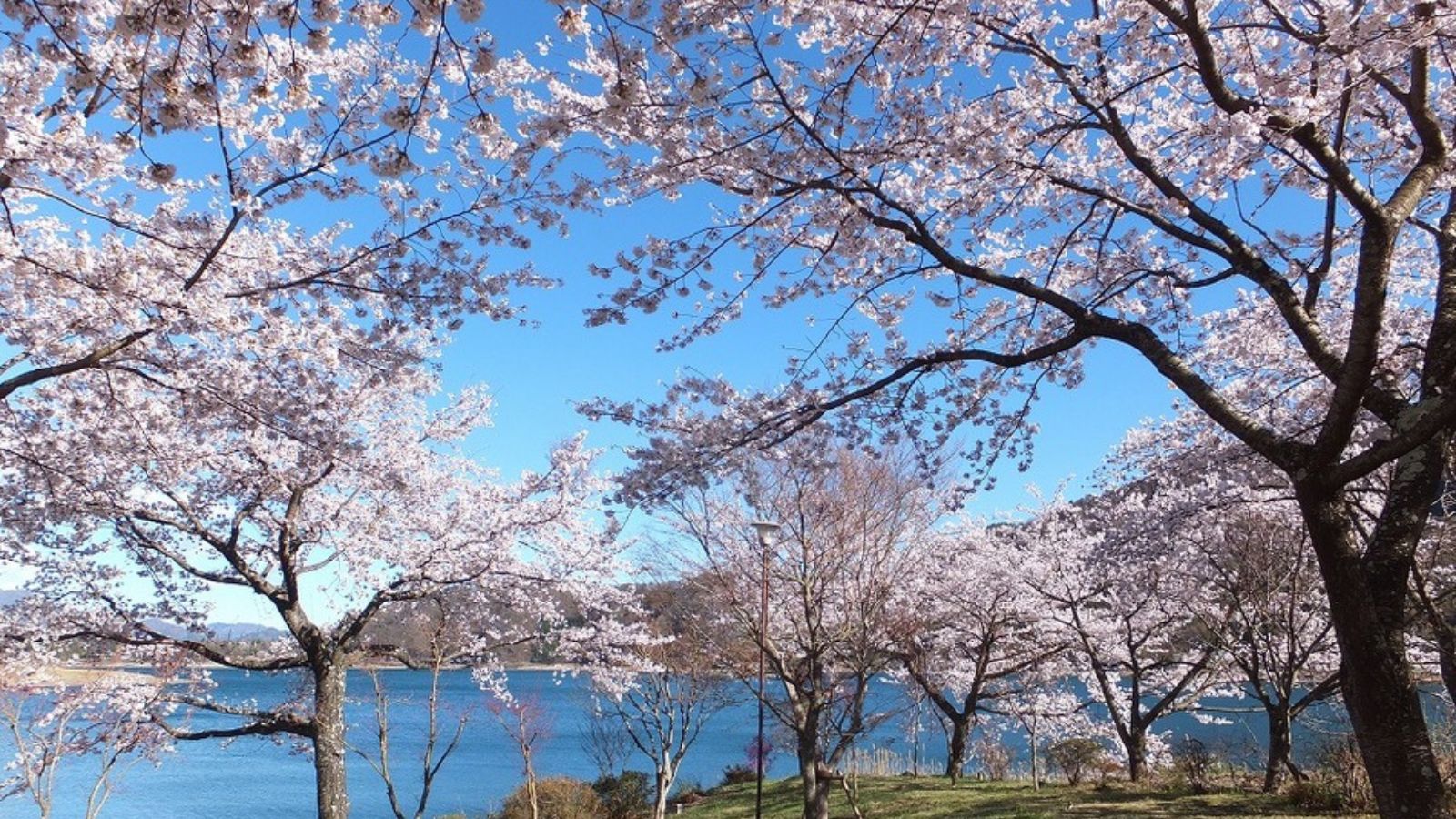 Kawaguchiko Onsen Ashiwada Hotel