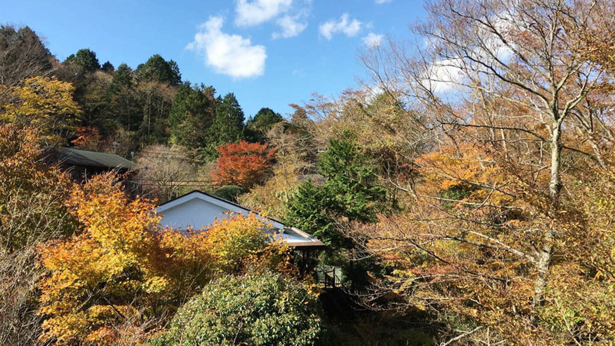 ゆぽっぽ箱根(旧温泉宿 停車場)