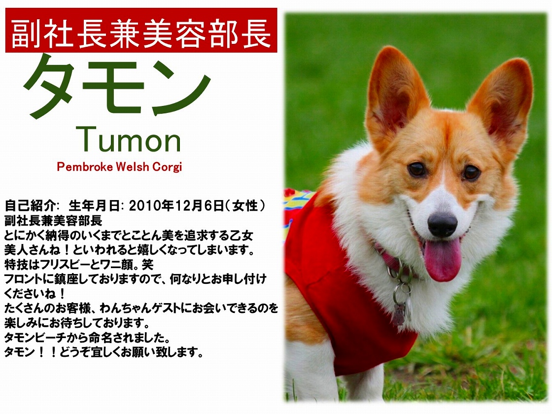 Hakone Gora Guam Dog Honten