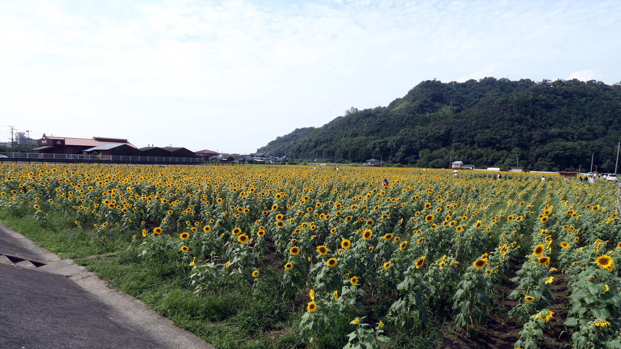 ニュー筑水荘