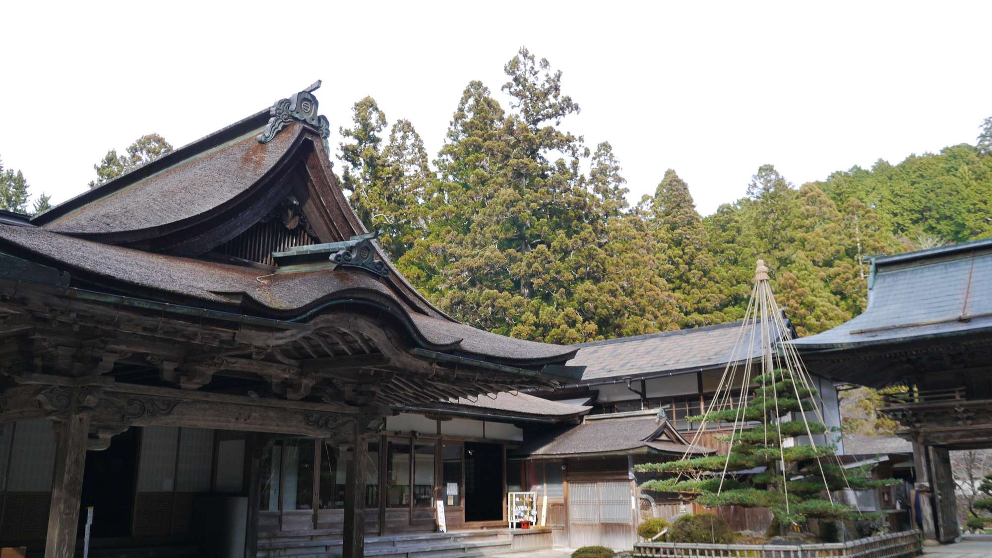 金剛三昧院日式旅館