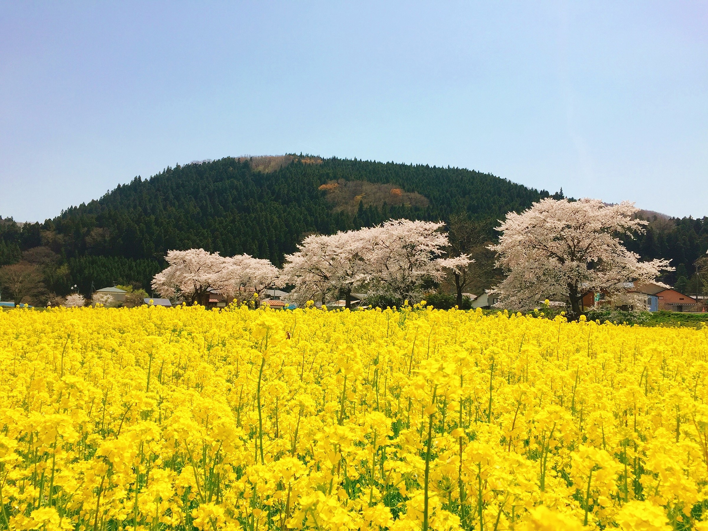 湯あみの宿　ぬまくら