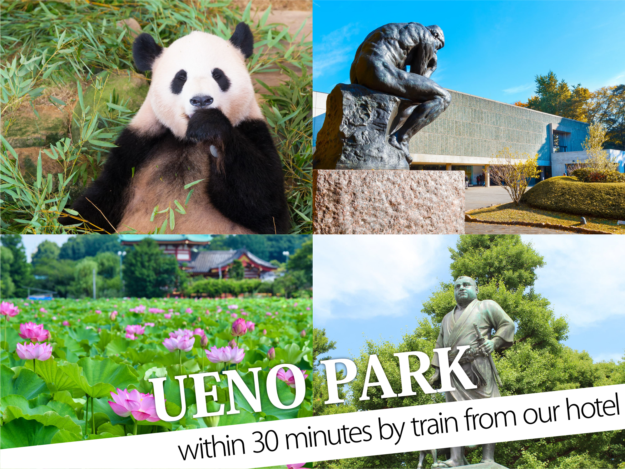 池袋セントラルホテル