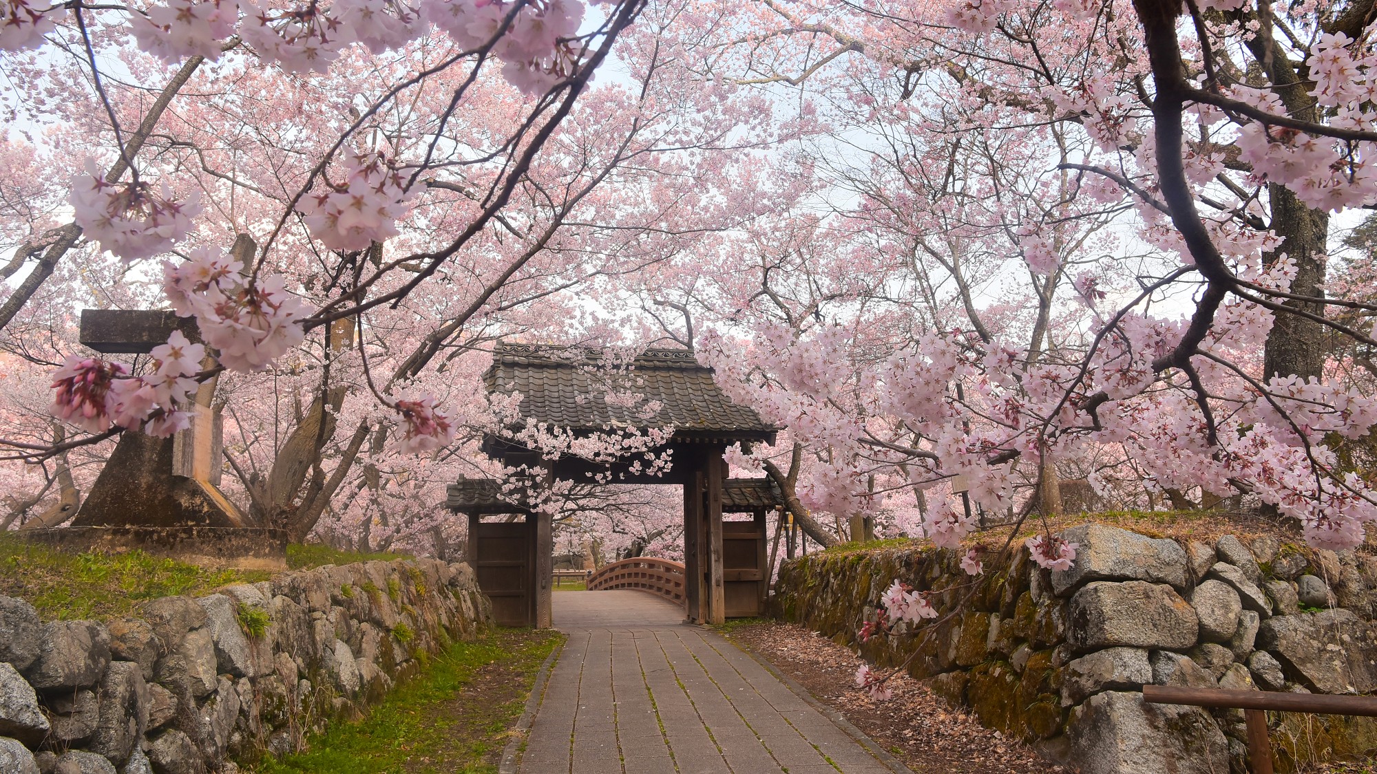 島田屋ホテル