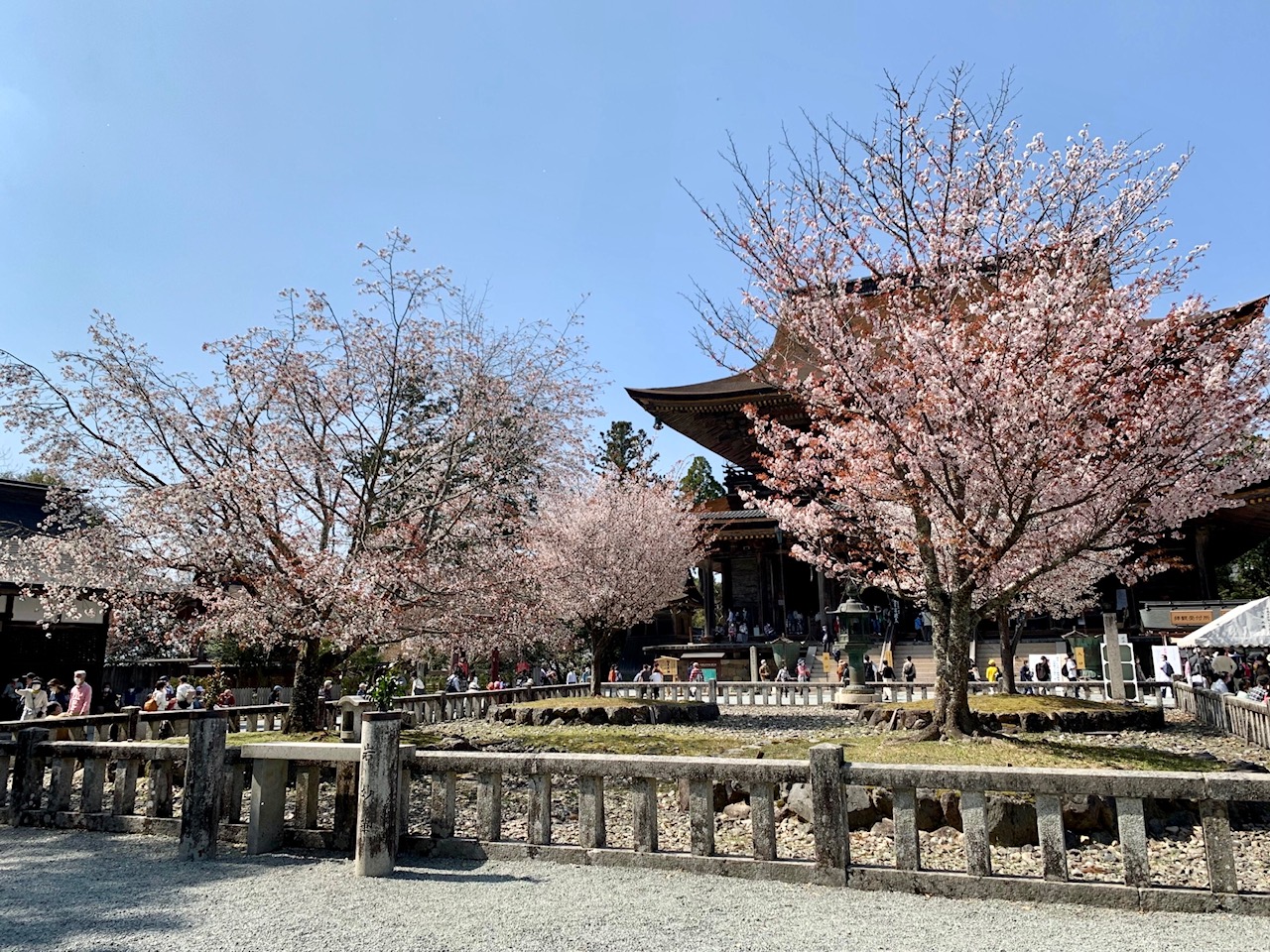 吉野館 ひとりでも”自分らしく”泊まれる宿