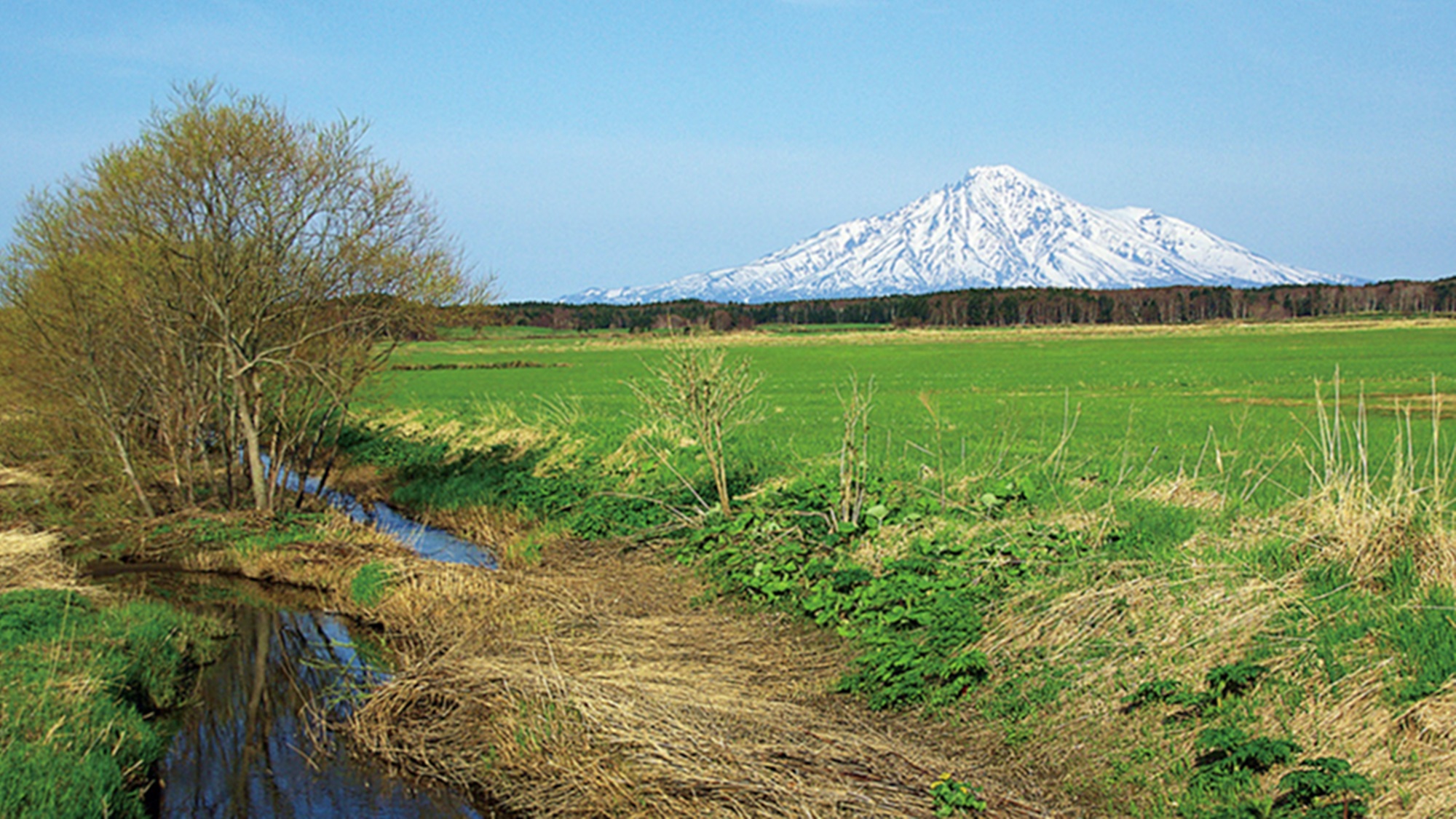 豐富溫泉川島旅館