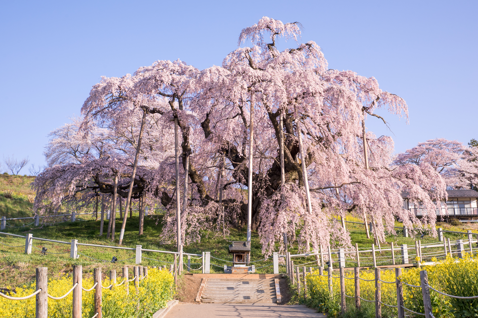 OYO旅馆山城屋别邸月之庭磐梯热海温泉