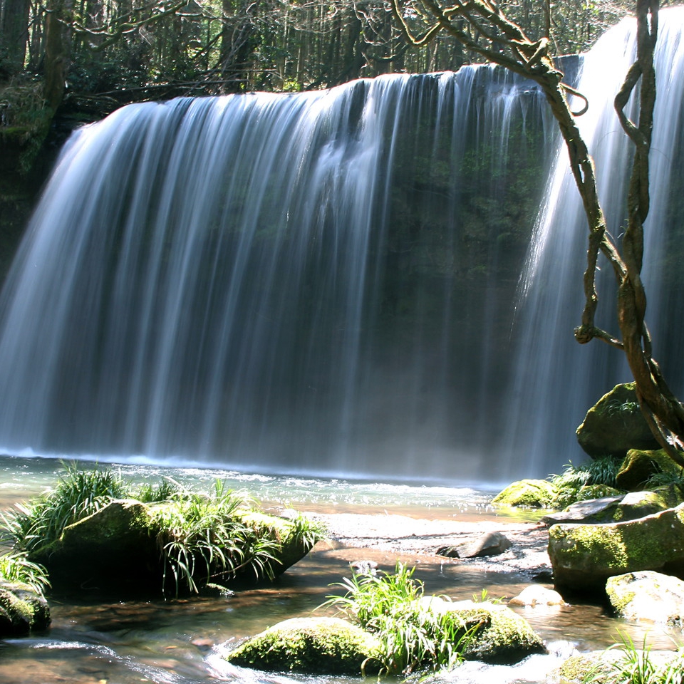 山翠温泉旅馆