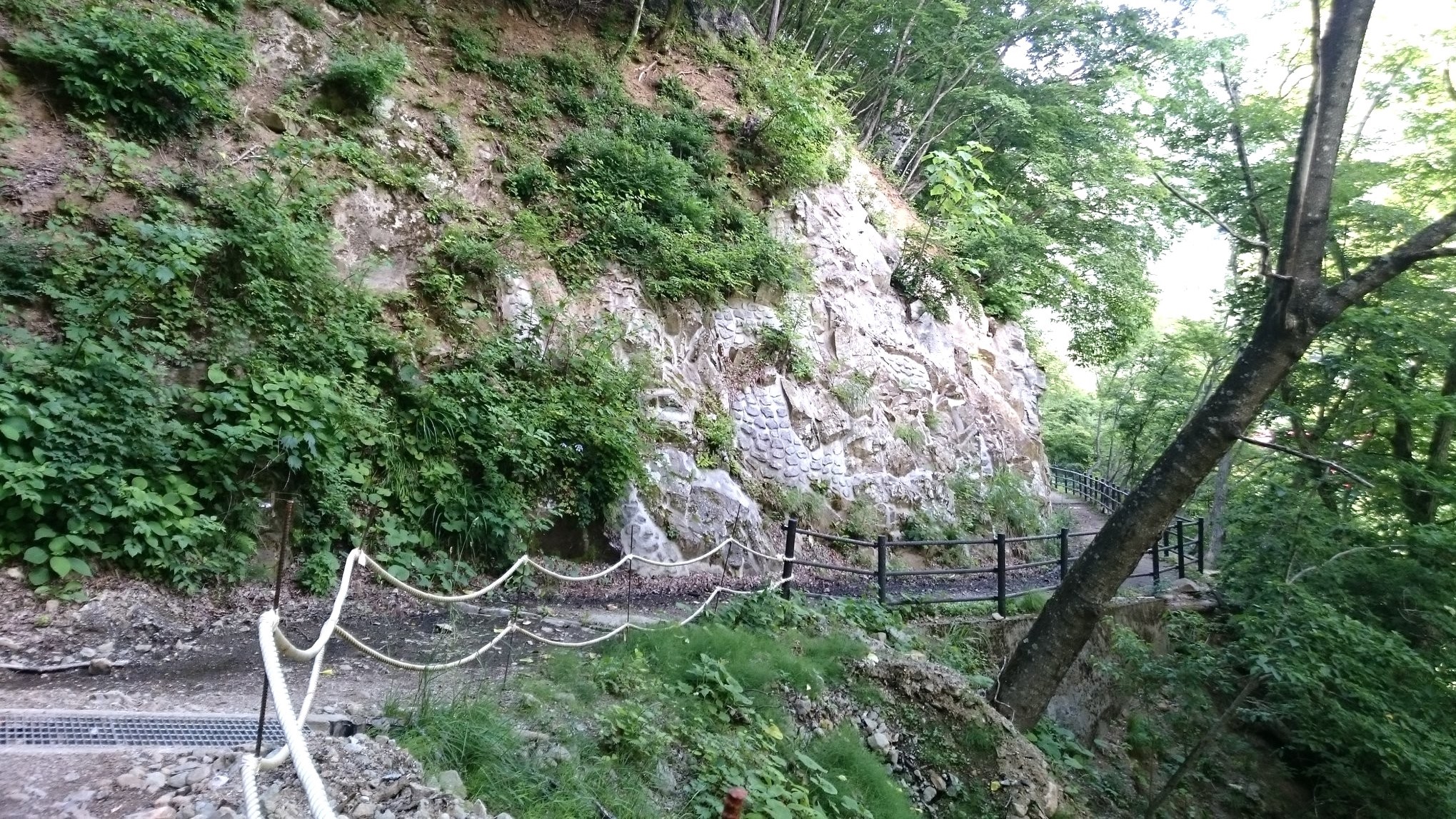 旅館わらび野