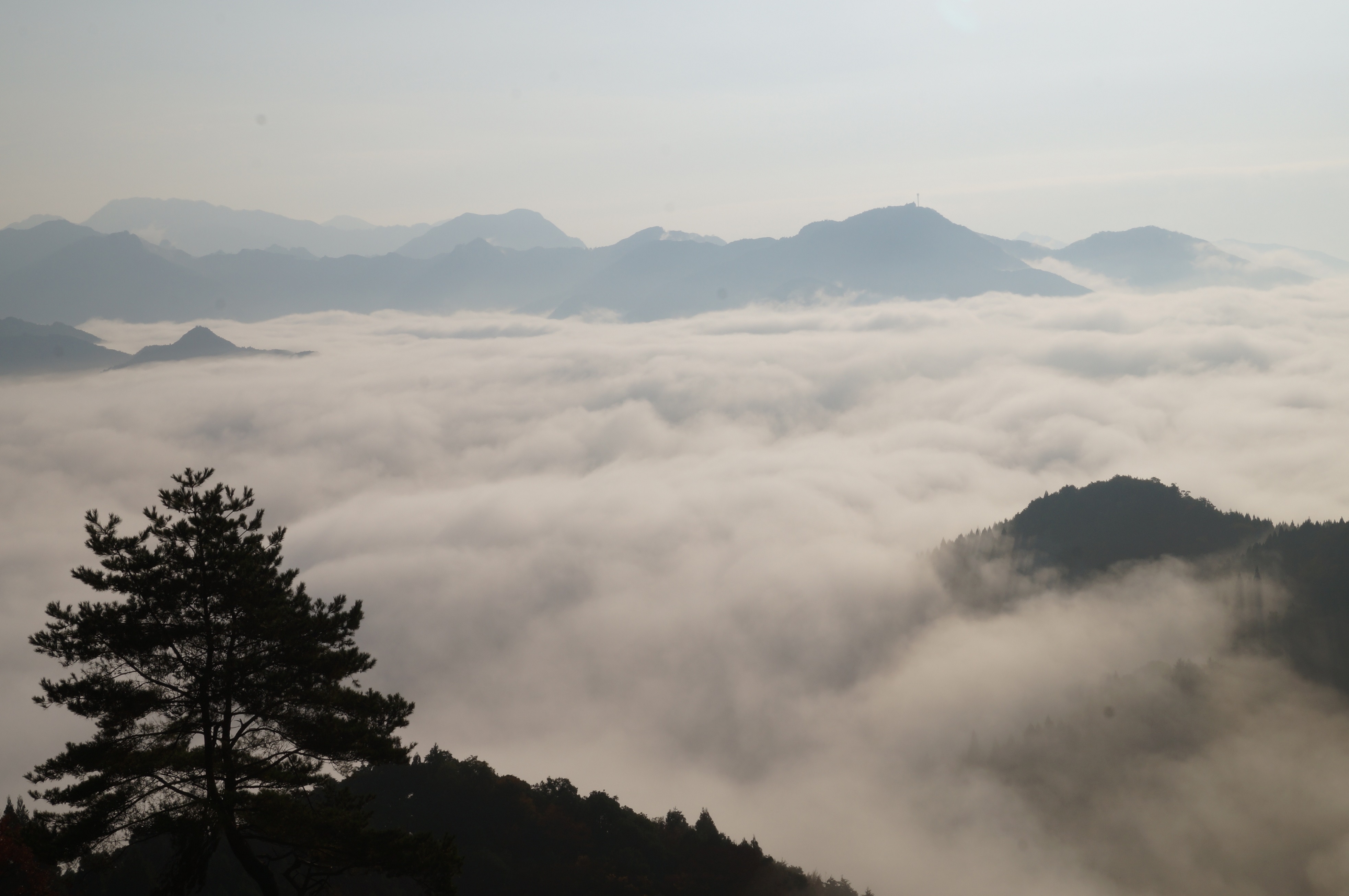 大和屋旅馆