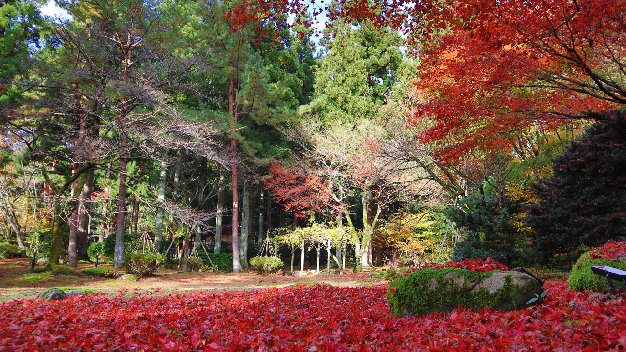 Murasugi Onsen Fuga-no-Yado Chouseikan