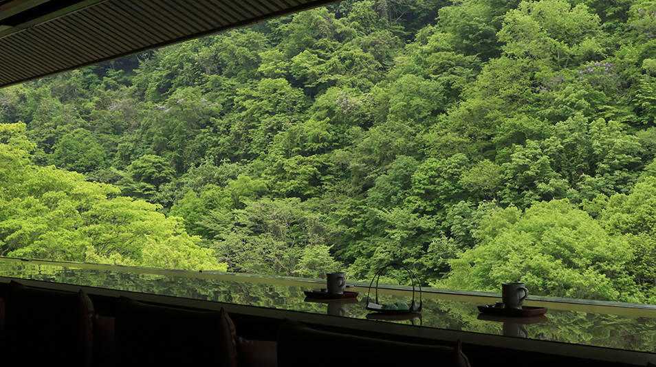 緑霞山宿　藤井荘