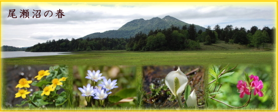 檜枝岐溫泉 尾瀨野