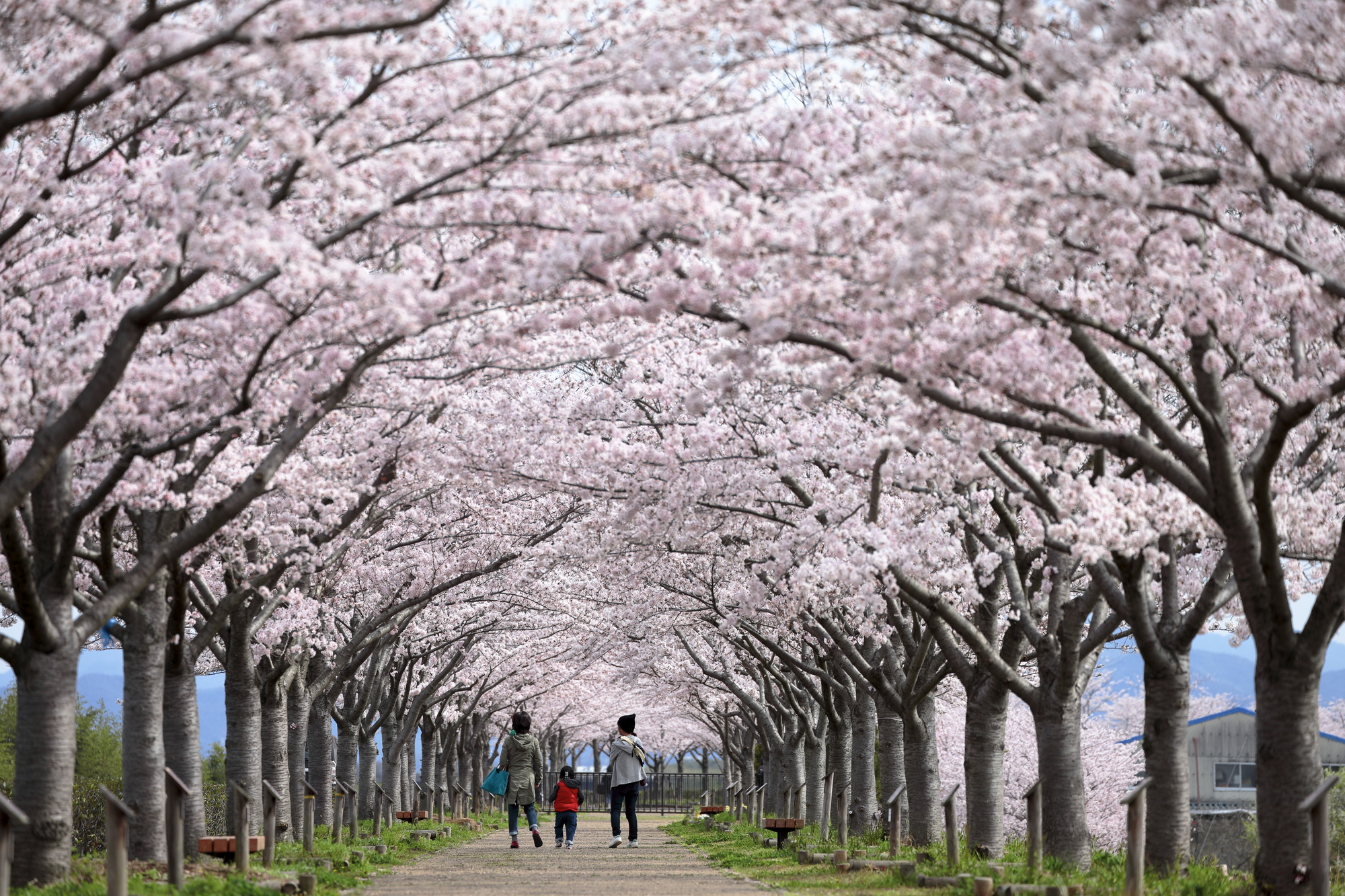 河島商務旅館