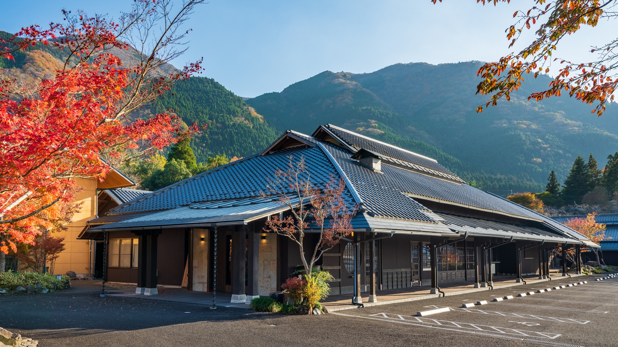 由布院 梅园 庭园度假村