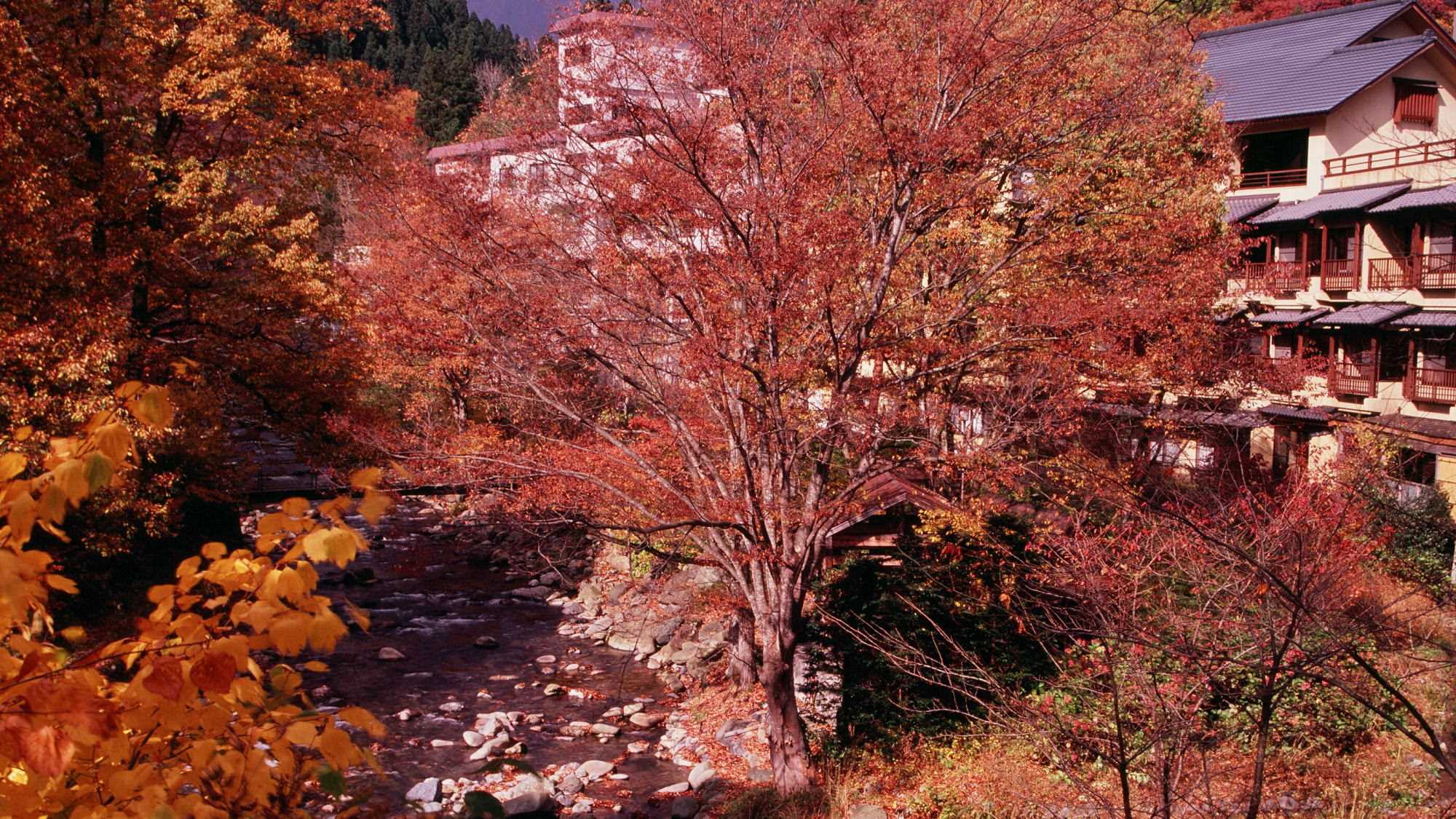 Tanigawa Onsen Kinseikan Seseragi