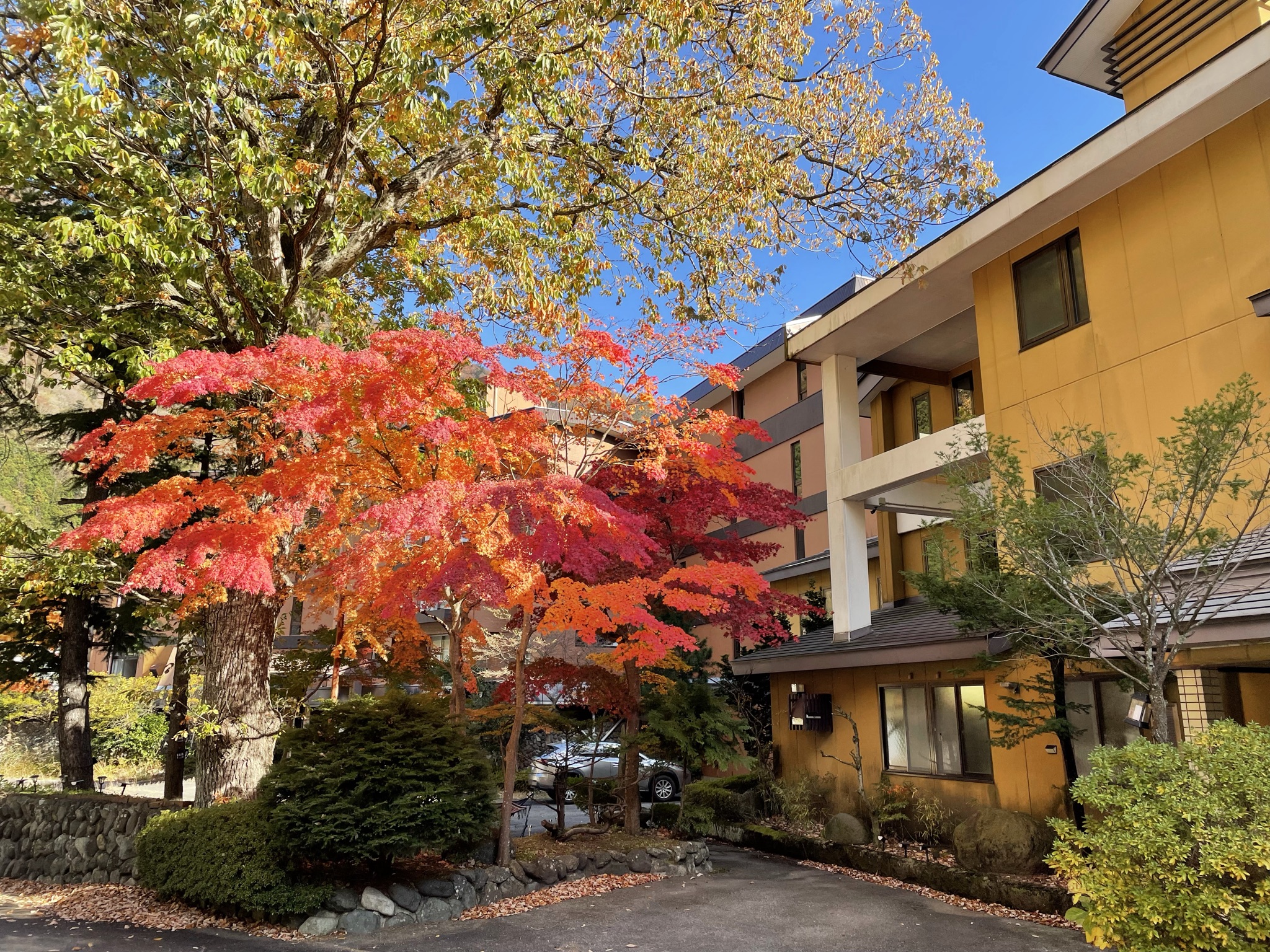 Nikko Garden Hotel