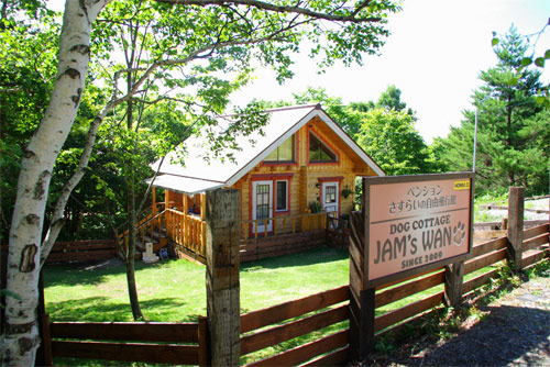 도그 코티지 잼스 완