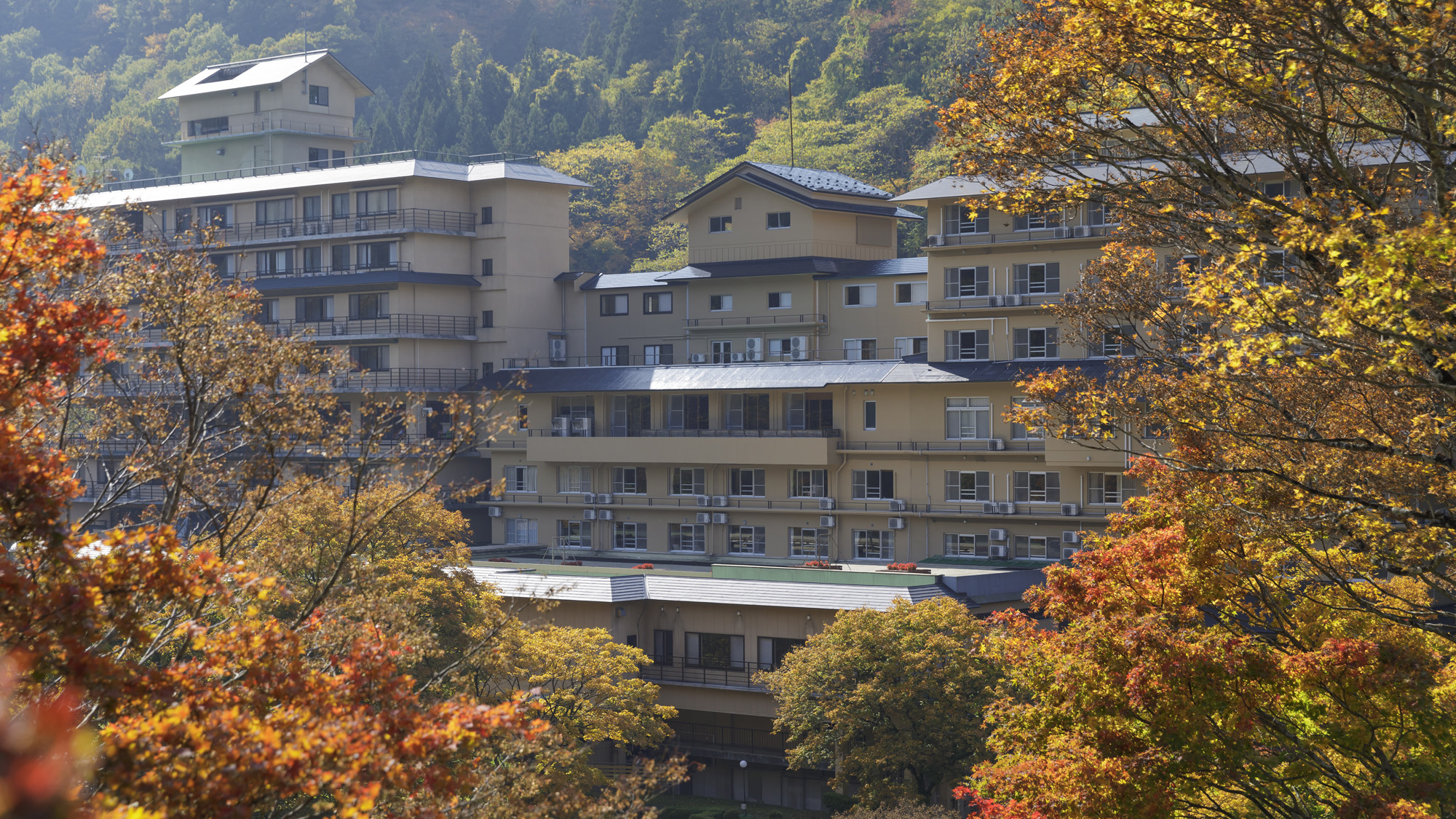 花巻温泉郷　新鉛温泉　結びの宿　愛隣館