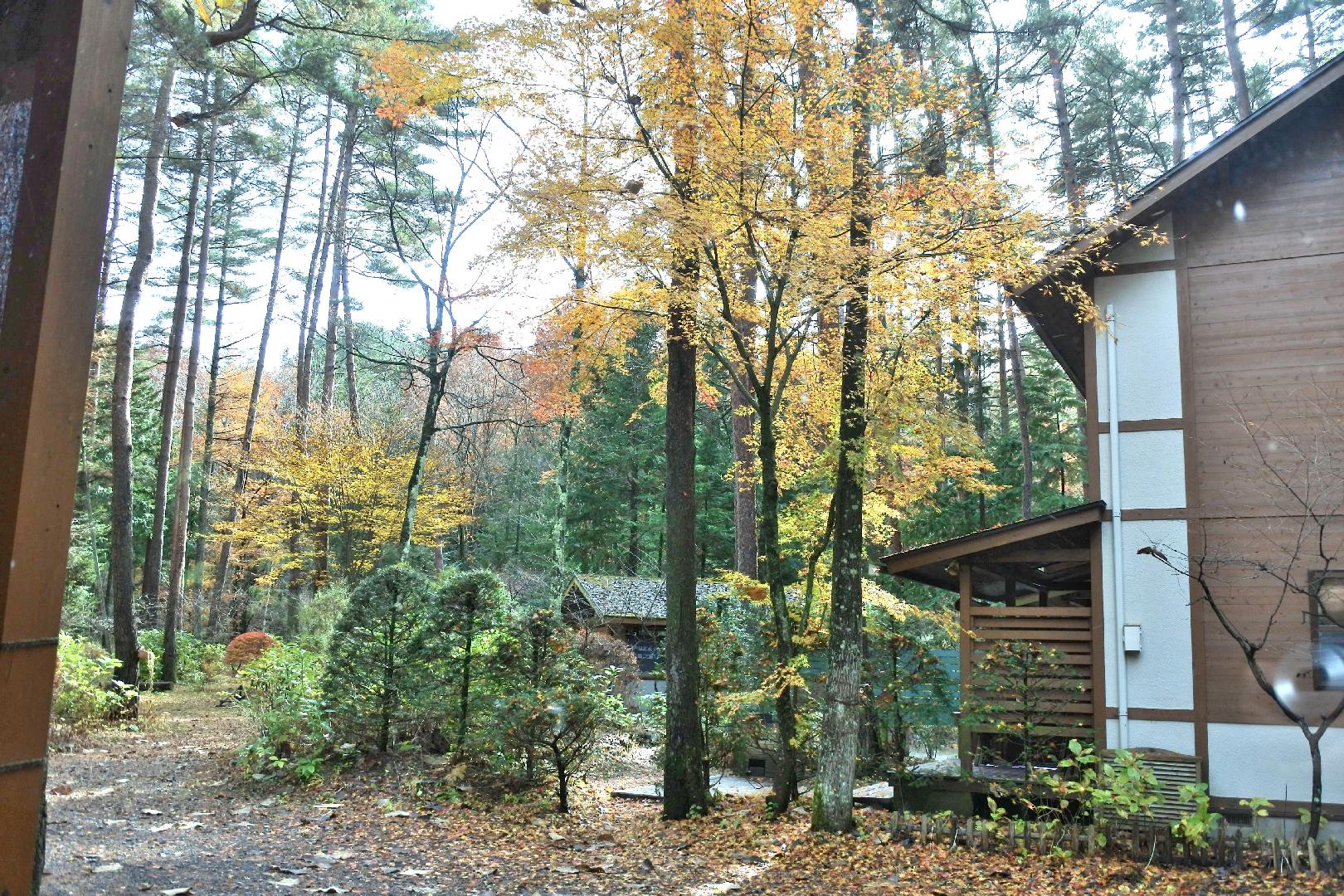 빌라 가와구치코 마미아나 빌리지