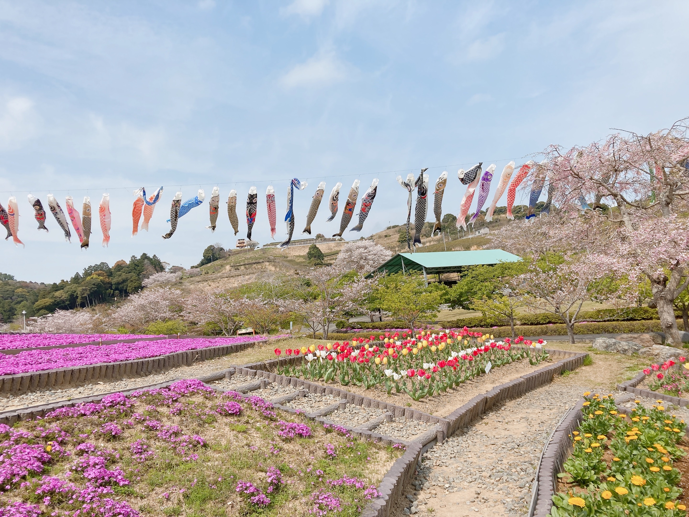 御前崎　岬の宿八潮