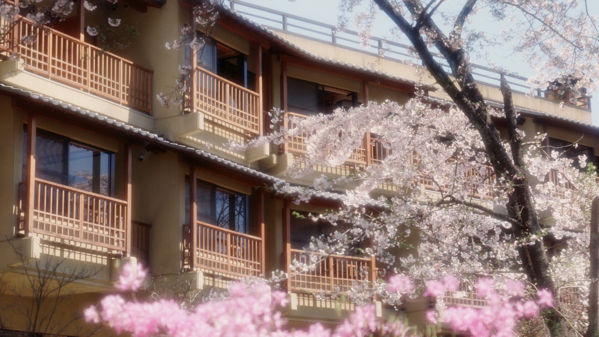 Tanigawa Onsen Kinseikan Seseragi