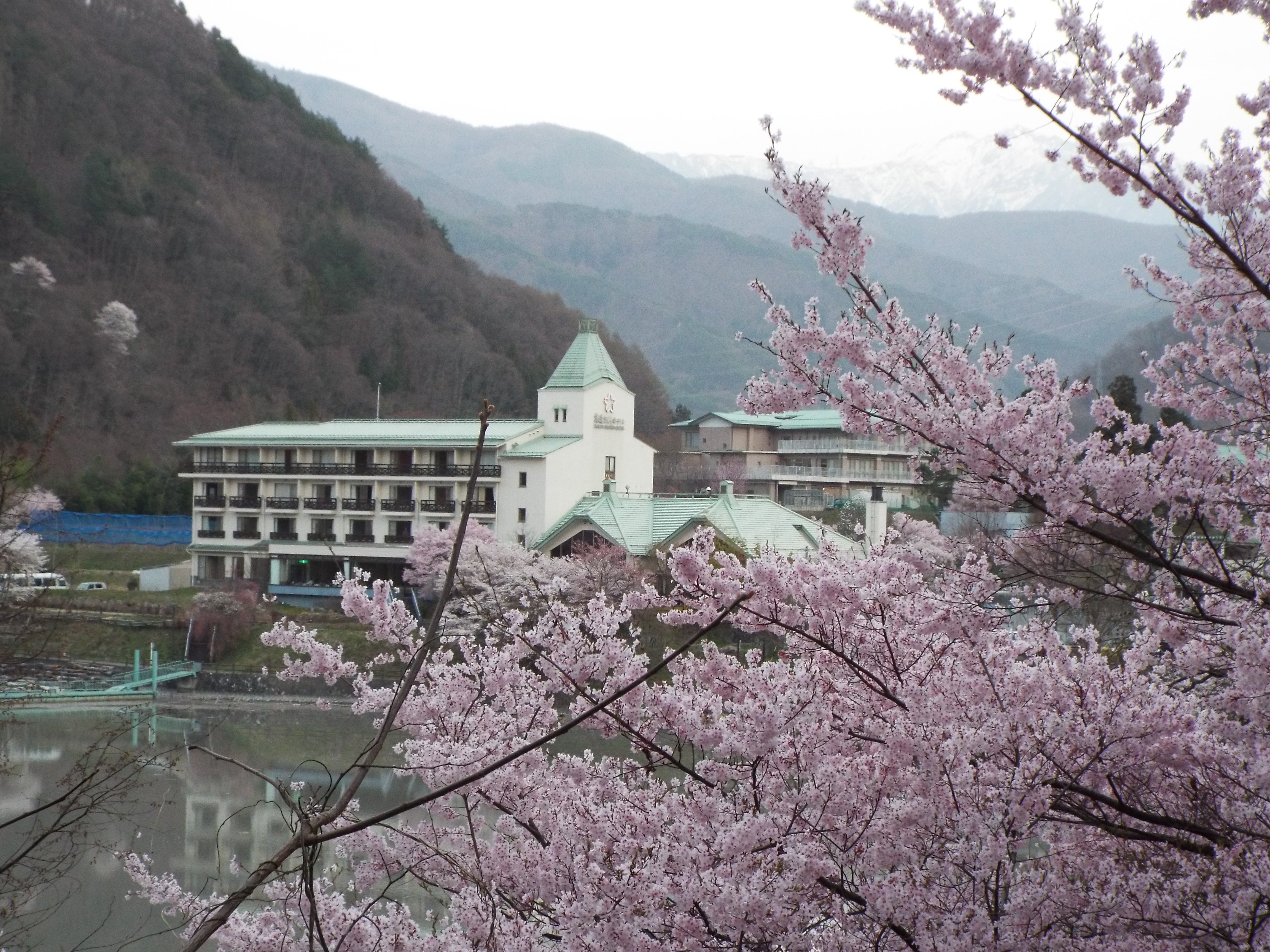 高遠溫泉高遠櫻飯店