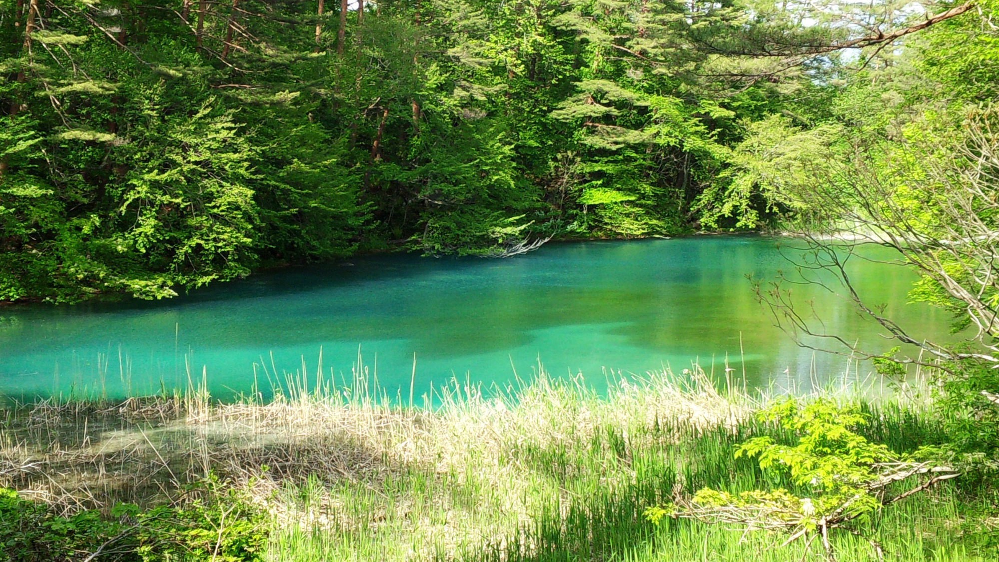 Urabandai Lake Resort Goshiki no Mori