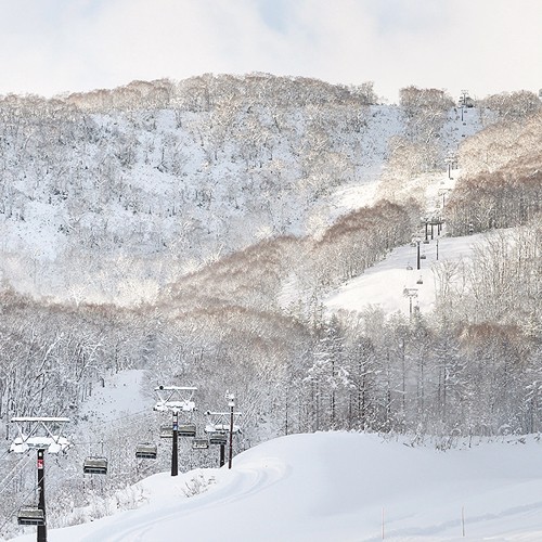 Muse Niseko