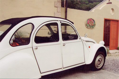 Petit Pension Yamaneko-Oharibako (Iriomote Island)