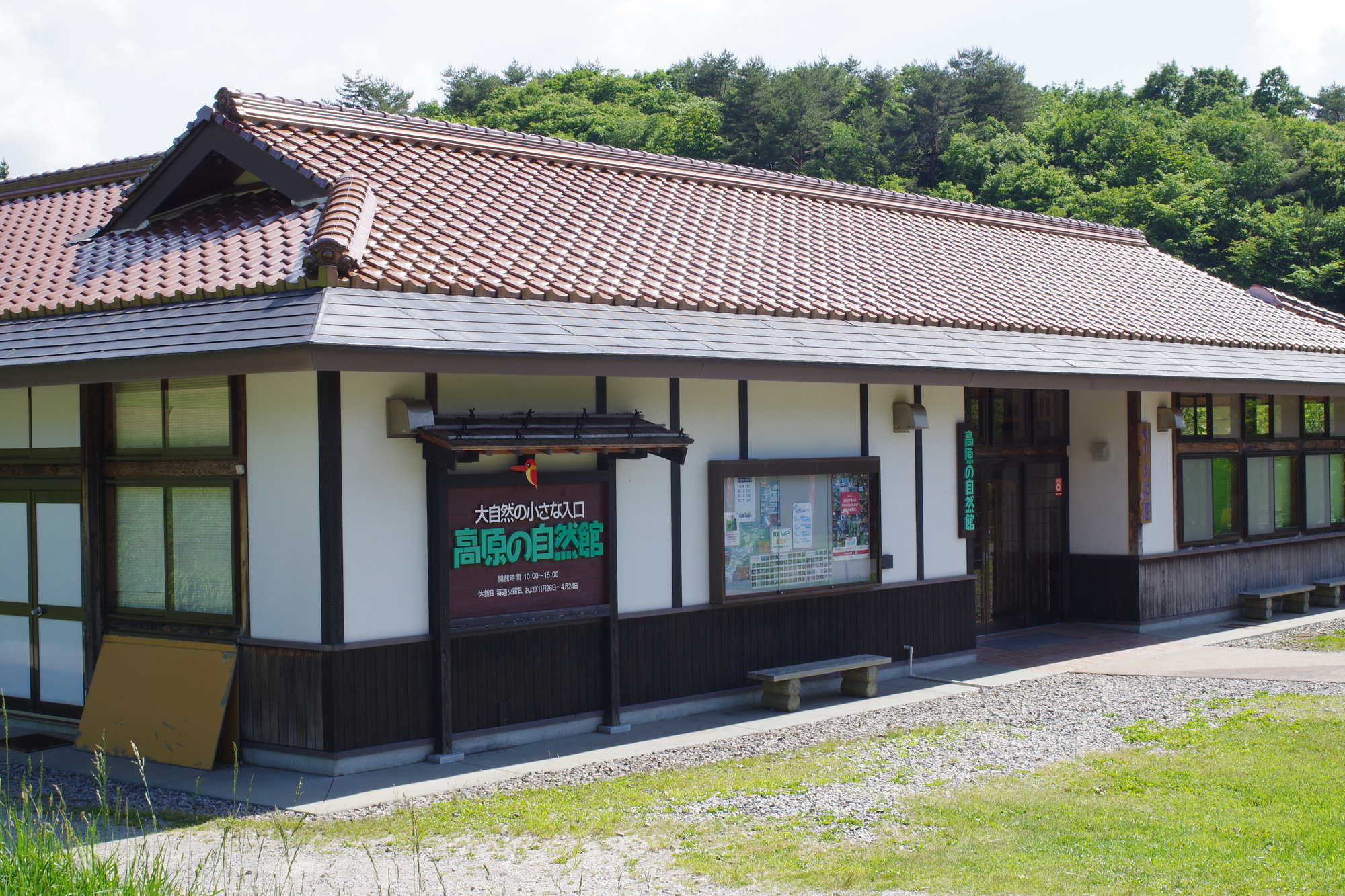 白城森本酒店