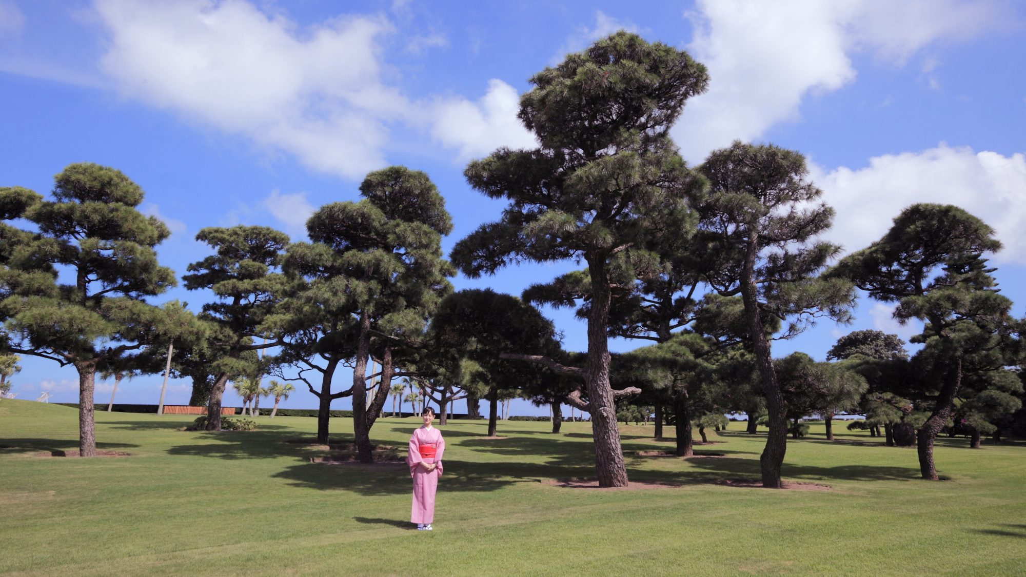 指宿温泉砂蒸温泉指宿白水馆