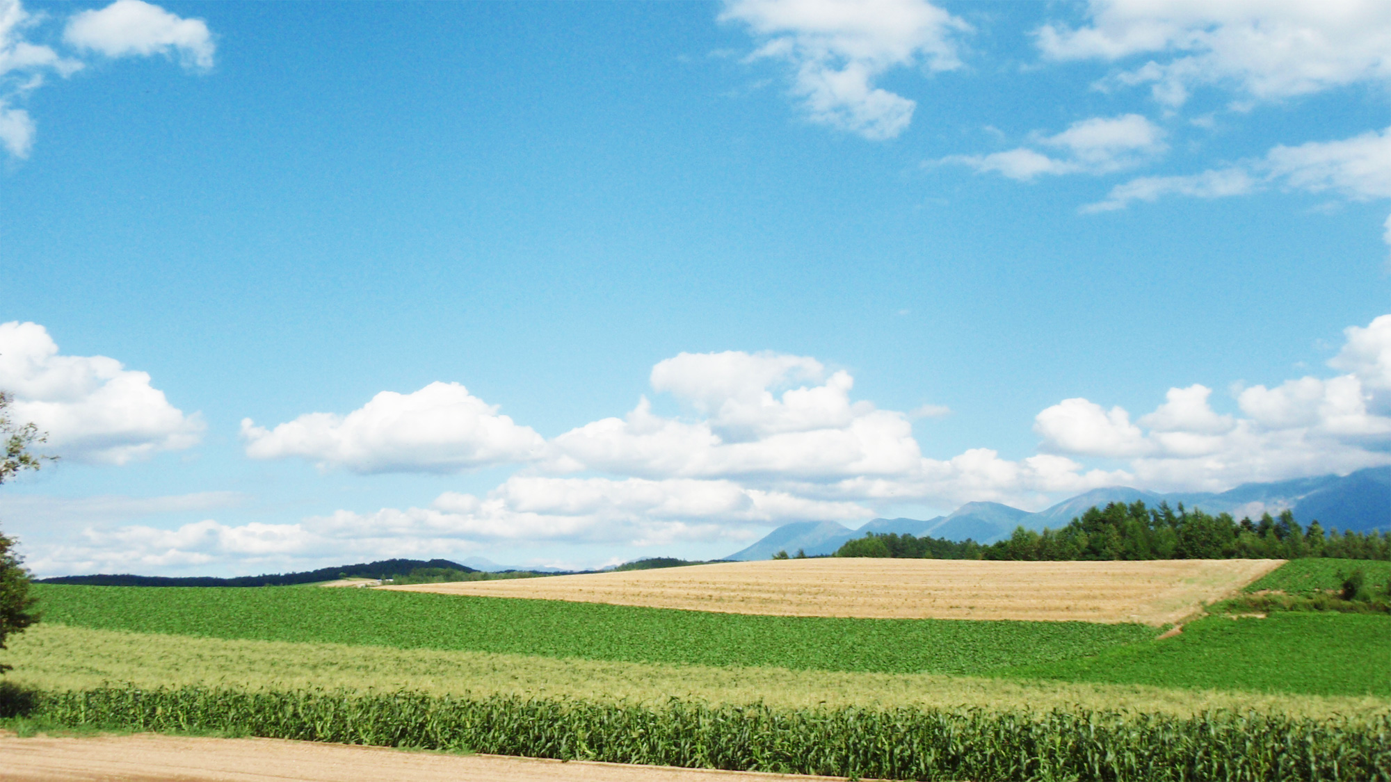 Pension Landscape Furano