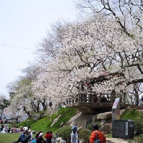 Akayu Onsen Tansen Hot Spring Hotel