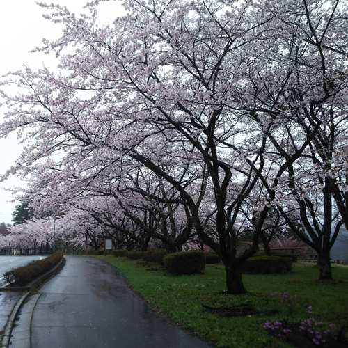 盛冈系温泉四季亭