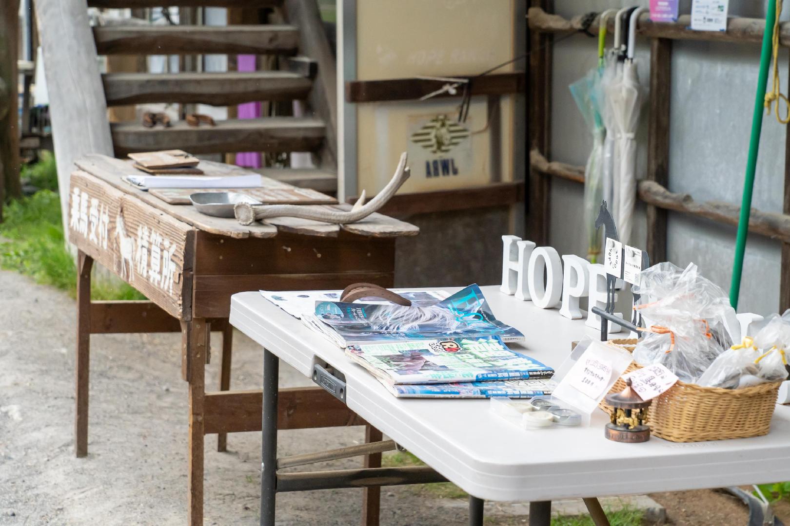 白樺湖ホープ・ロッヂ乗馬牧場