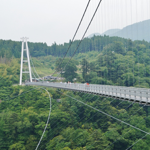 旅の宿　山椿