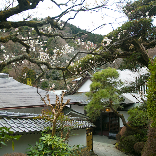 Atsugi Iiyama Onsen Motoyu Ryokan