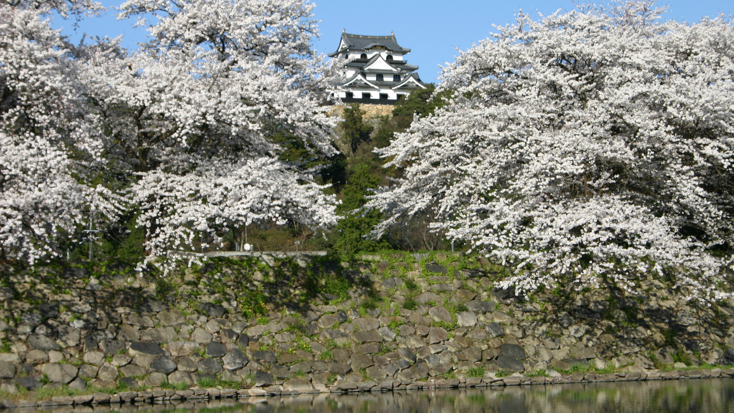 APA Hotel Hikone Minami