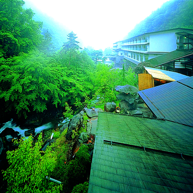 Yokoya Onsen Ryokan