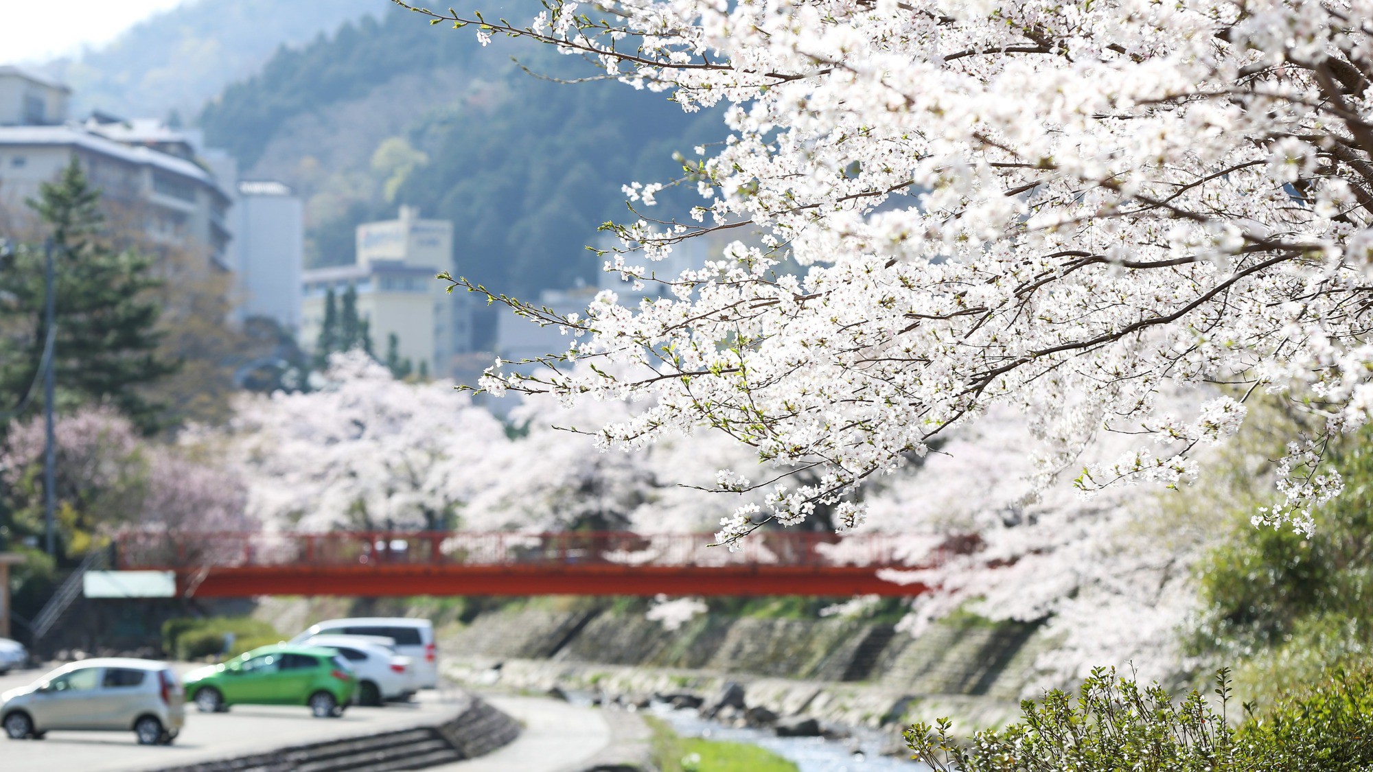 山阴汤村温泉 涌泉之宿 汤亚梦