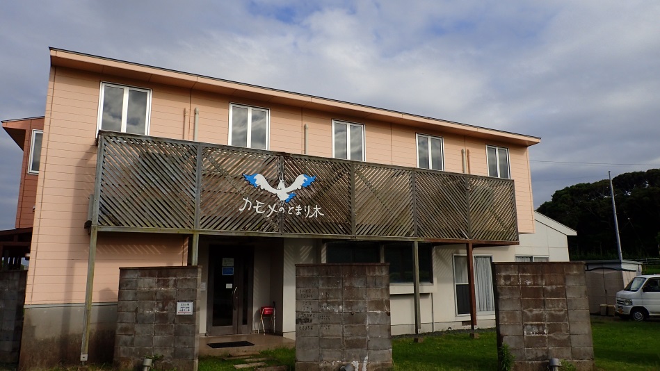 壹岐島海鷗棲息木