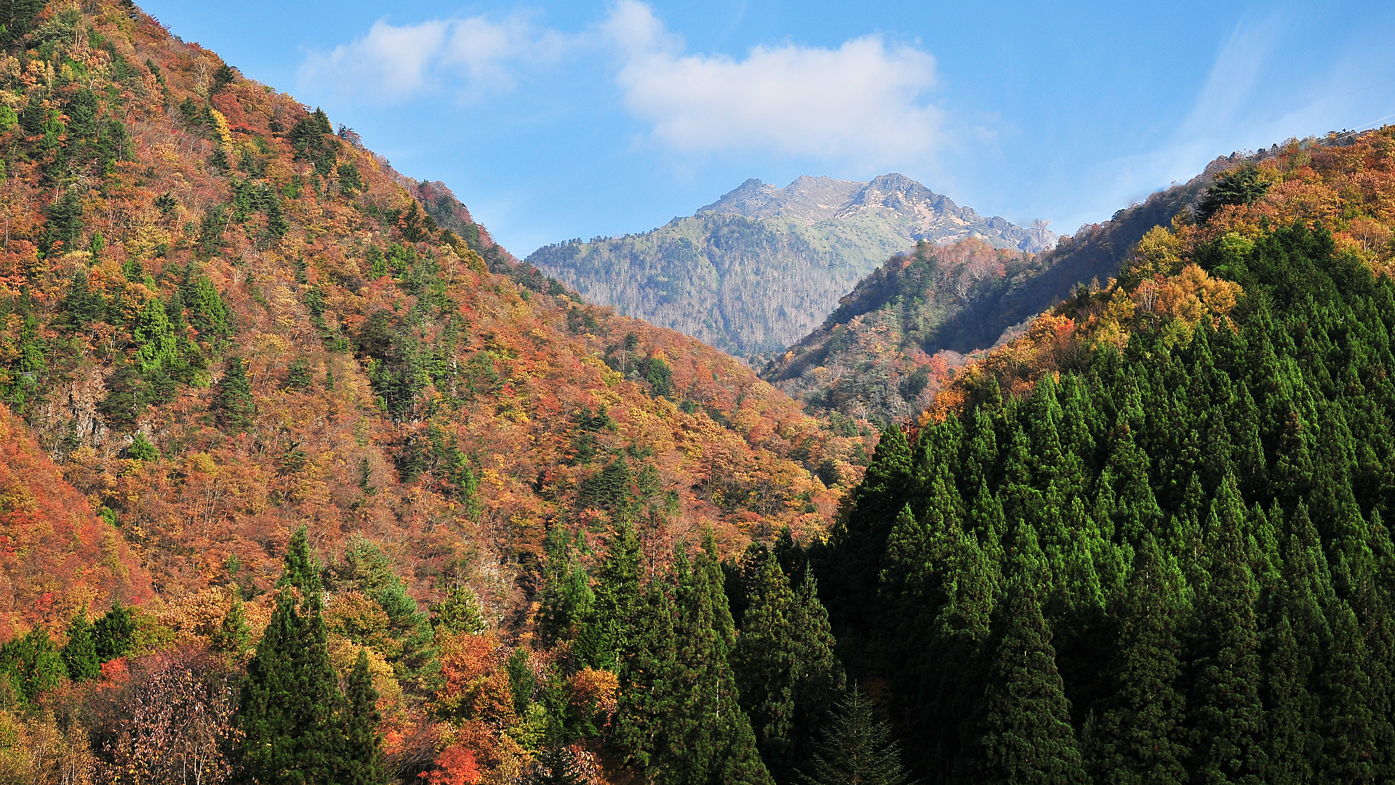 筋肉と自然と遊ぶ宿　田島館