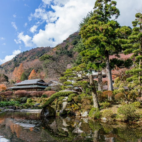 箱根湯本温泉　吉池旅館