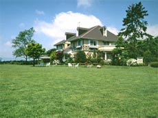 다비야도 코튼 클럽