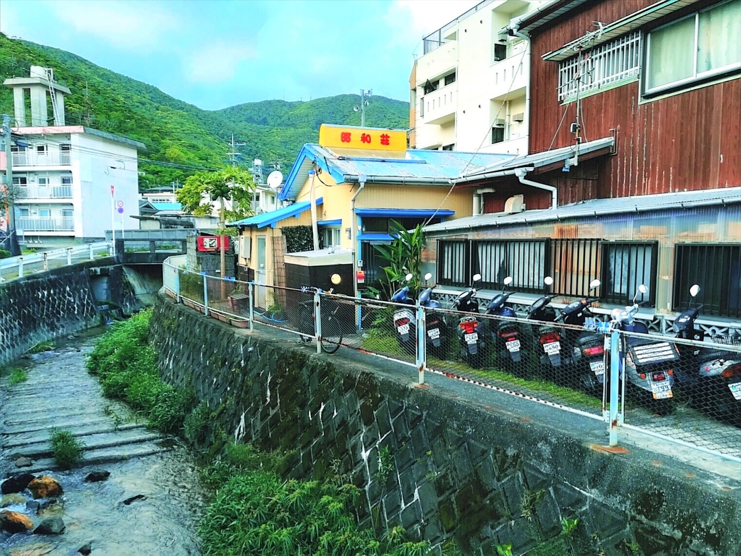 Amami Oshima Guest House & Rental Bike Showa-so
