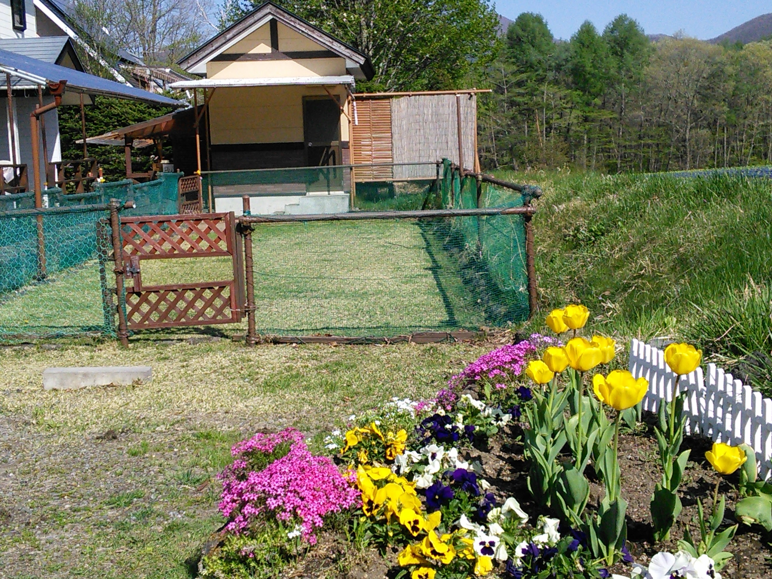 ペンション　いちばん星＜群馬県＞