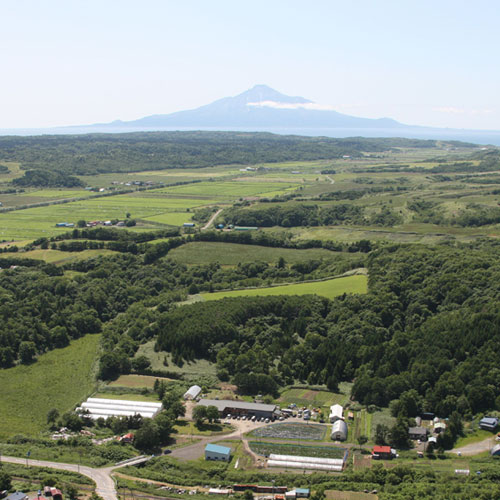 Farm Inn 悠遊農場